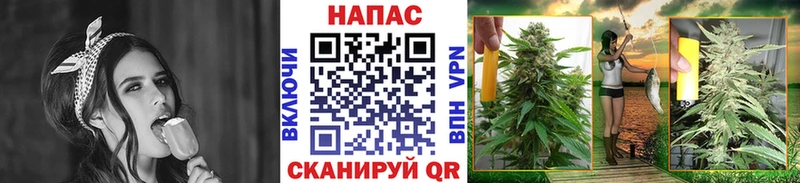 Купить наркотики сайты Бавлы kraken ONION  Гашиш  Бошки Шишки  Амфетамин 
