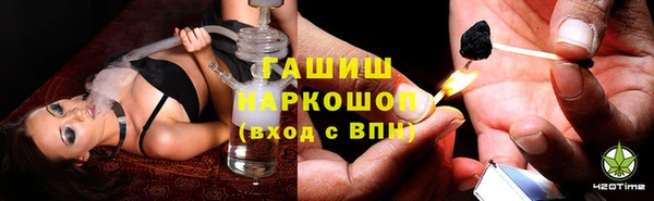 спиды Великий Новгород